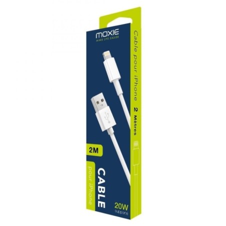 Cable data Usb vers lightning blanc 2M